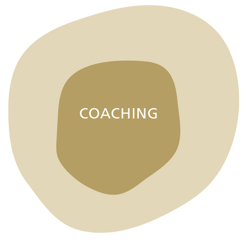 Coaching - lokale Organisationen, internationale Mitarbeiter, Rückkehrer -